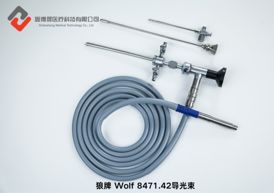 狼牌 Wolf 8471.42导光束.png