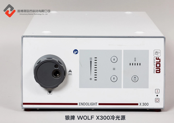 狼牌 WOLF X300冷光源.png
